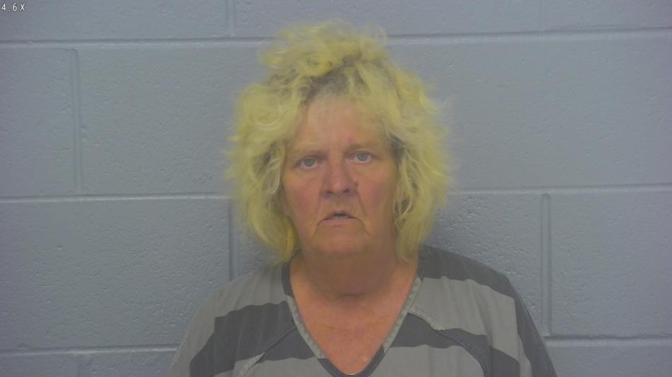 Arrest photo of KAREN  VAN HOTEN